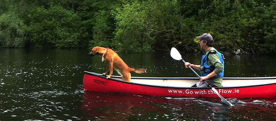 man-riding-boat-with-his-pet-dog