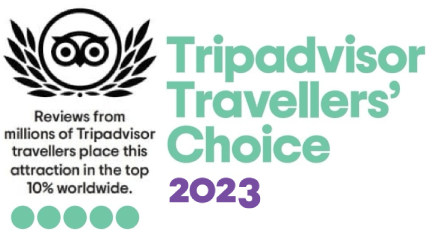 tripadvisor-logo-2023